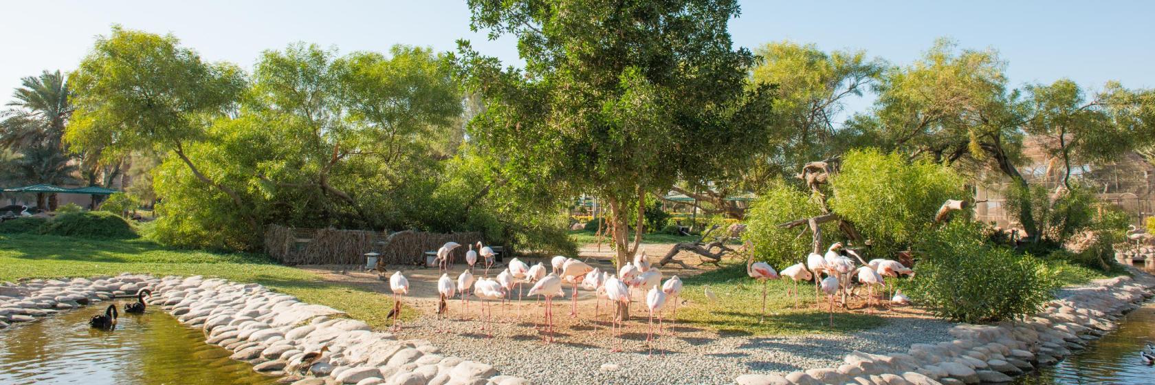 Al Areen Wildlife Park